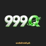 999Q Game