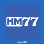 HM77 Game