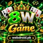 8W Game