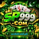 SP999 Game