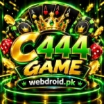 C444 Game